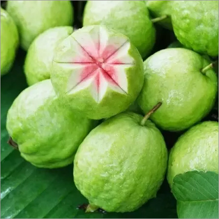 Guava - Organic Whole Fruit | Sweet Flavor, Naturally Cultivated, Ideal for Fresh Consumption and Culinary Applications