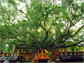 Buddhist Tour Package01