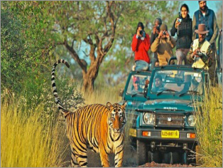 Romantic Tour Package
