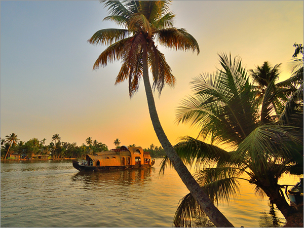 South India Wild Life Tour Package
