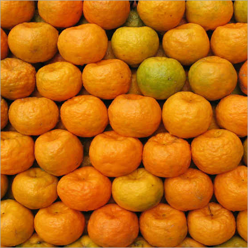 Fresh Orange