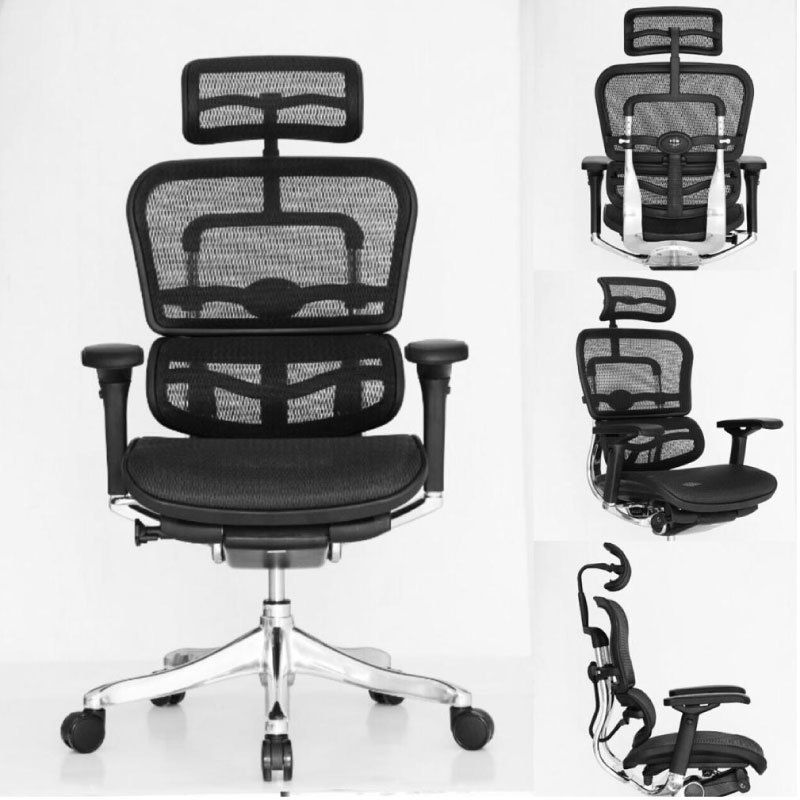 Machine Made Ergohuman Chair With Headrest