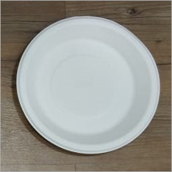 Leakproof Disposable Dinner Plates