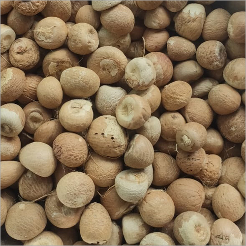 Common Pure Betel Nut