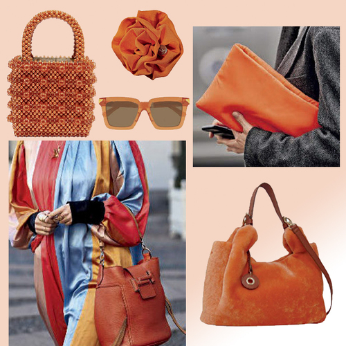 Brown New Style Women / Lady Bag