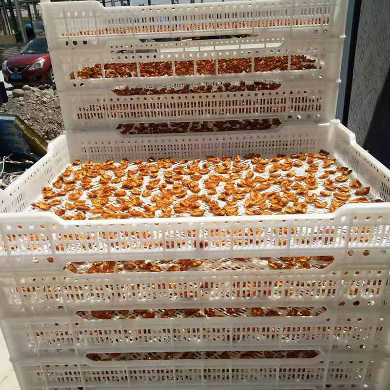 Heat Pump Apricot Dryer Machine Dimension(l*w*h): 1540*1050*1040 Millimeter (Mm)