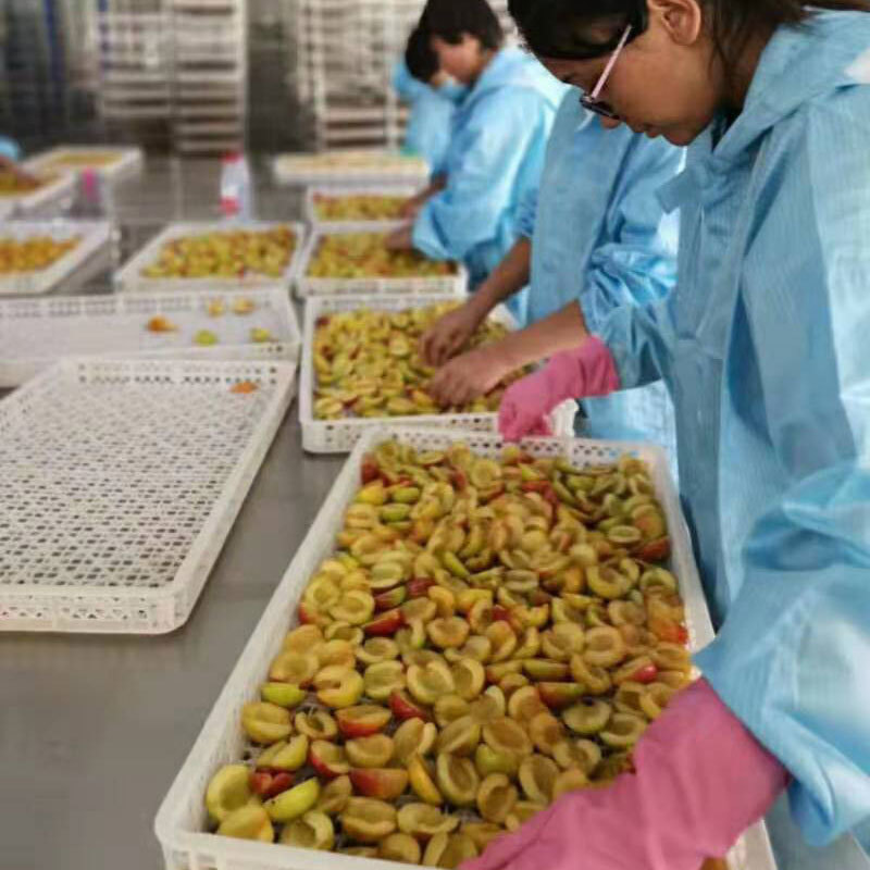 Heat Pump Apricot Dryer Machine Dimension(l*w*h): 1540*1050*1040 Millimeter (Mm)