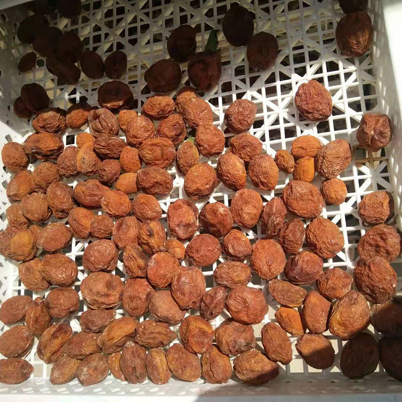 Heat Pump Apricot Dryer Machine Dimension(l*w*h): 1540*1050*1040 Millimeter (Mm)