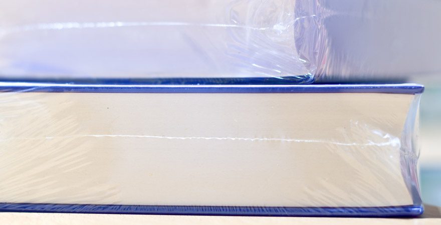 Ivory Fully Automatic L Sealer Tunnel