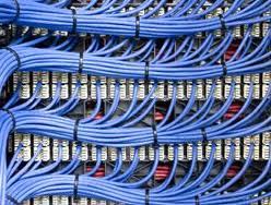 Blue Molex Cabling Solution