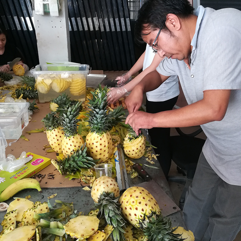 Commercial Pineapple Dehydrator With Trays Dimension(l*w*h): 2800*1100*2200 Millimeter (Mm)