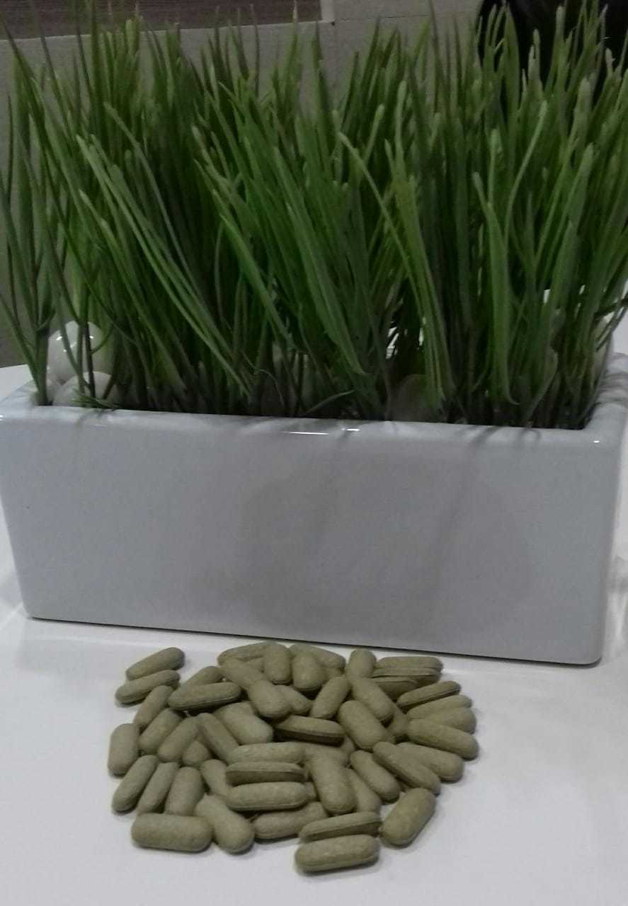 Wheatgrass Tablet Bulk Age Group: Suitable For All Ages