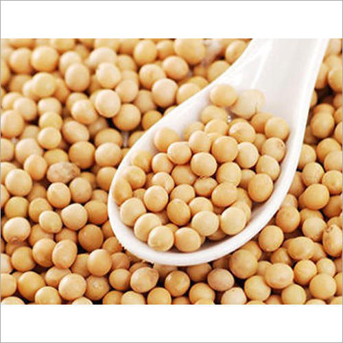 Indian Organic Soybean