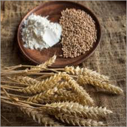 Pure Wheat Flour