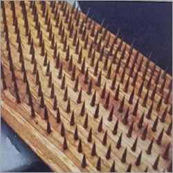 किर्शनर बीटर लैग