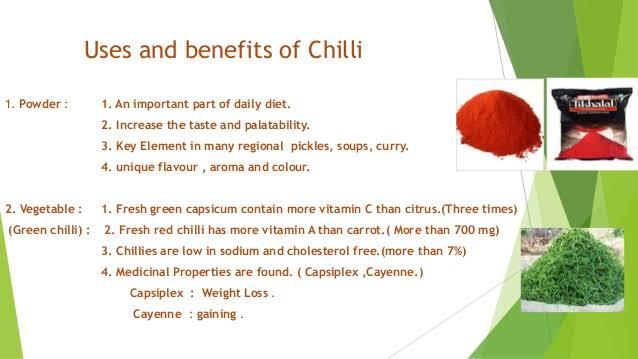 Red Chilli - Raw Stick Form | Aromatic Spice For Curries, Chutneys, Pickles, Soups, Natural Flavour Enhancer