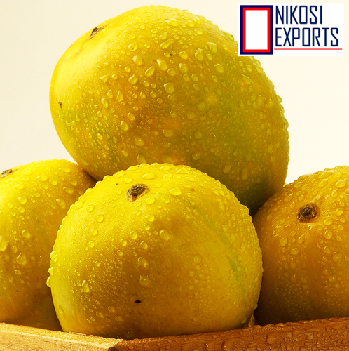 Alphonso Mango - 200g to 350g | Rich Yellow Color, Sweet Flavor, Tender Non-Fibrous Pulp, High in Beta-Carotene