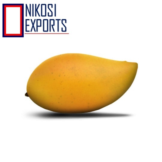 Yellow Fresh Totapuri Mangoes