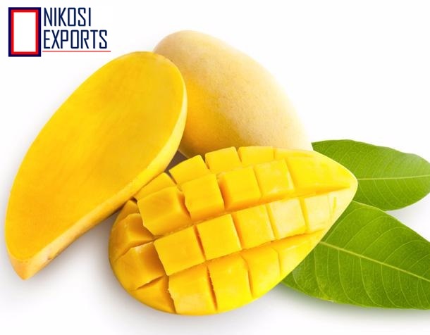 Yellow Fresh Totapuri Mangoes