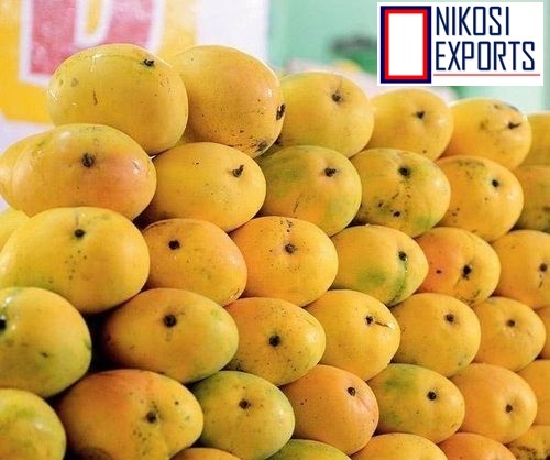 Yellow Fresh Totapuri Mangoes