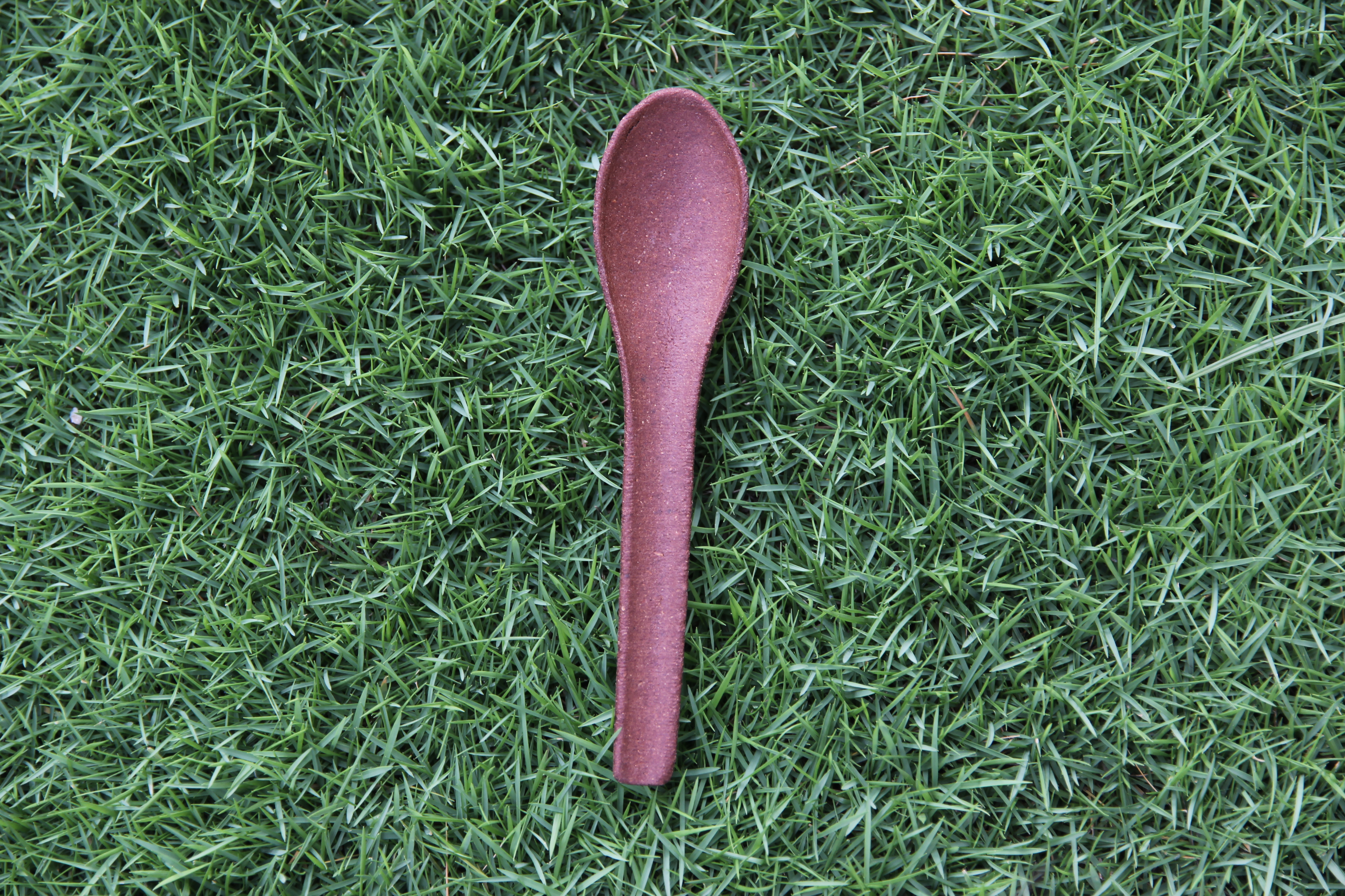 Smooth Edible Spoons