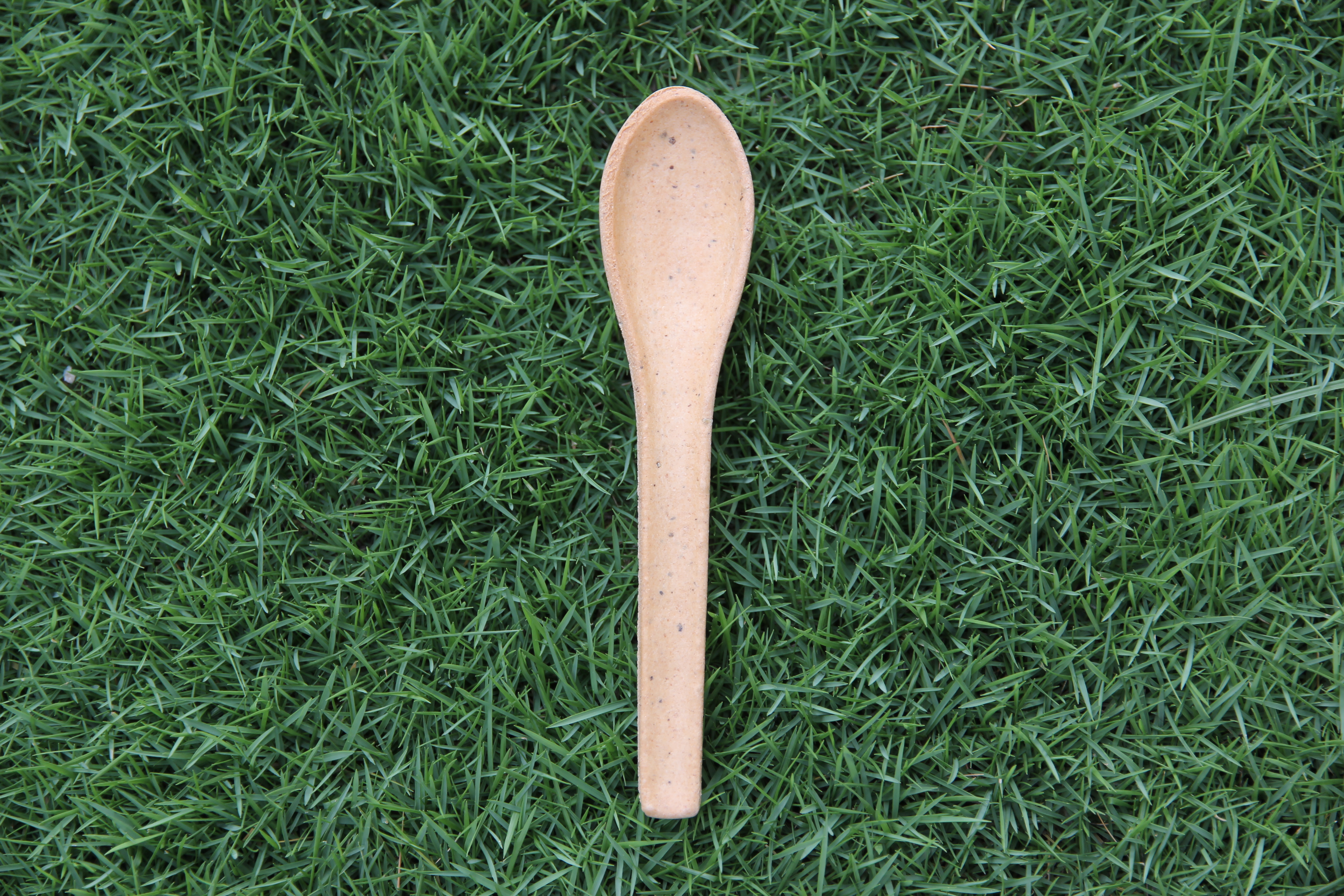 Smooth Edible Spoons