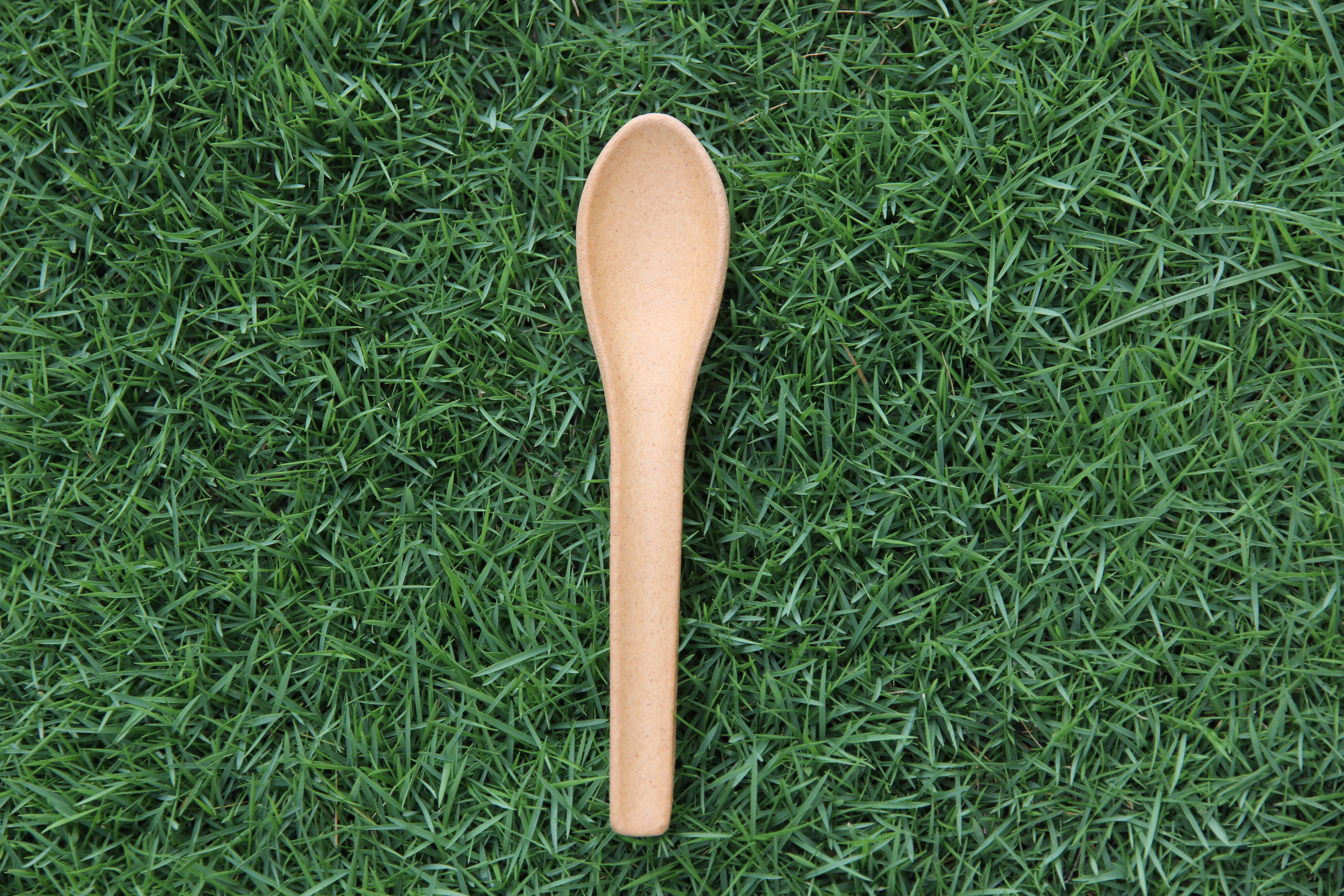 Smooth Edible Spoons