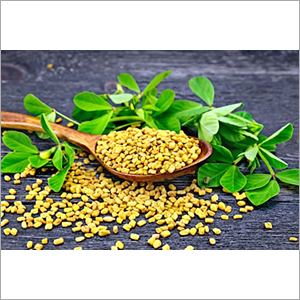 Fenugreek Seeds - High-Quality Herbal Supplement, 6-Month Shelf Life, Ideal for Culinary and Health Benefits, Store in a Dry Place