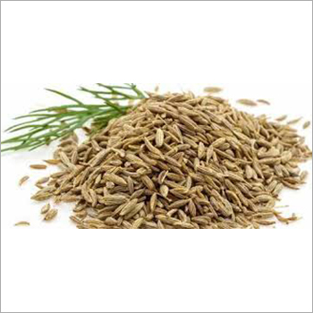 Cumin Seeds - 100% Natural, 6 Months Shelf Life | Store In A Dry Place For Optimal Freshness