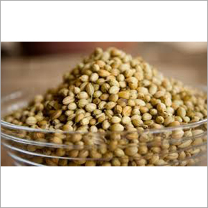 Coriander Seeds - Metabolically Inert, Rich In Dietary Fiber | 6 Months Shelf Life, Store In A Dry Place