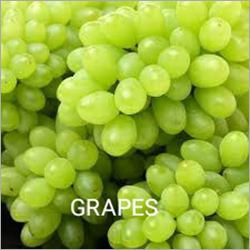 Fresh Grapes - Fresh, Sweet Green Grapes | High-Grade Quality, Hygiene Processed, Vitamin C & E Rich