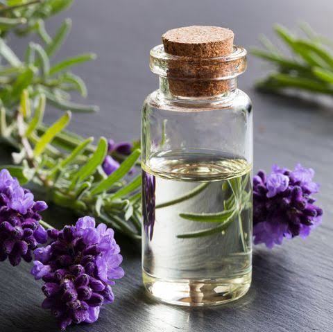 Lavender Oil - Age Group: All Age Group
