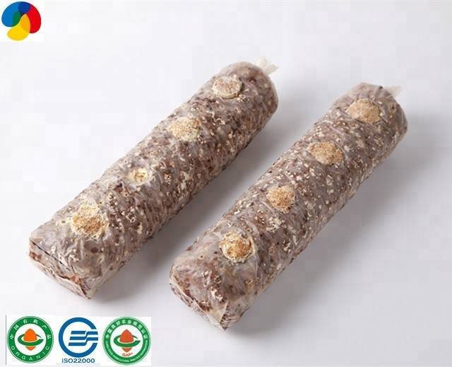 Qihe Fresh Organic Shiitake Mushroom Spawn With Good Service