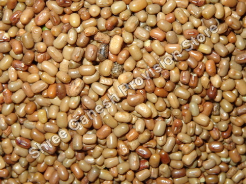 गणित बीन्स