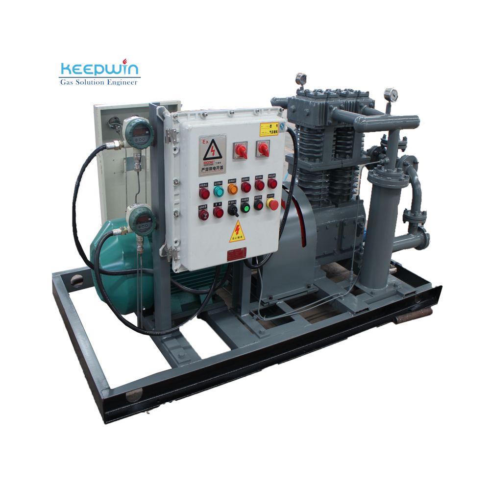 Oil-free Liquefied Petroleum Gas Lpg Compressor For Filling Station