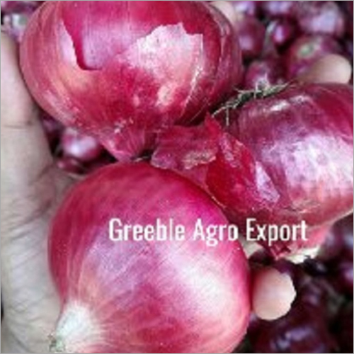 Fresh Pink Onion Shelf Life: 1 Months