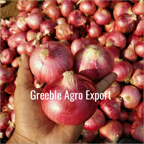 A Grade Red Onion Shelf Life: 1 Months