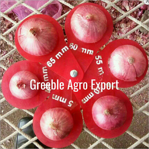 Fresh Red Onion - 5 Kg Bag | Baked Processing Form, 1 Month Shelf Life