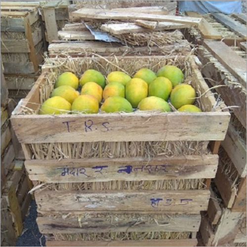 Alphonso Mango - Whole, 7 Days Shelf Life | Organic, Sweet Flavor, Rich In Antioxidants And Vitamins