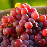 Common Fresh Red Grapes