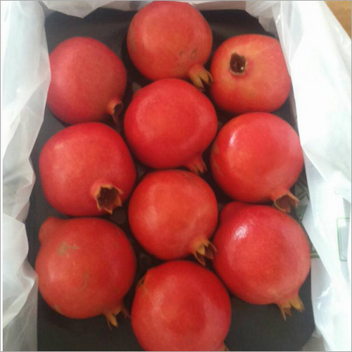 Common Red Pomegranate