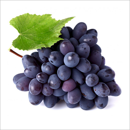 Common Black Seedless Grapes