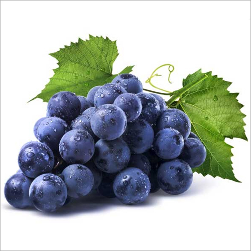 Common Black Seedless Grapes