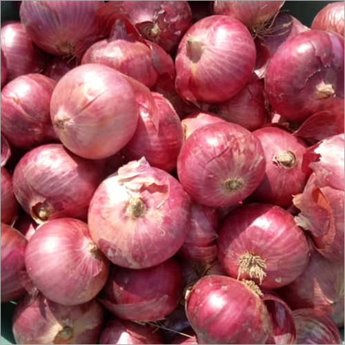 Golti Onion - Common Cultivation, Baked Processing Form , Round Shape With 100 Days Shelf Life