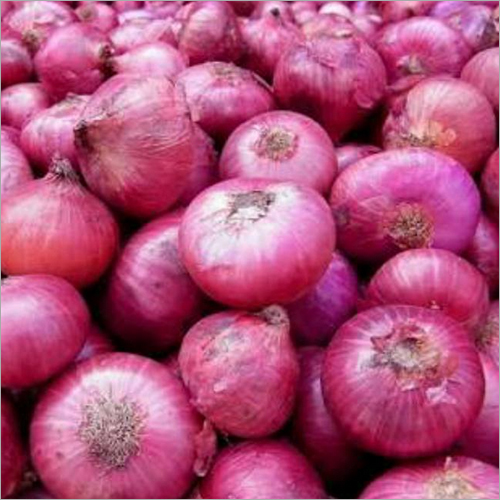C Grade Pink Onion Shelf Life: 1 Months