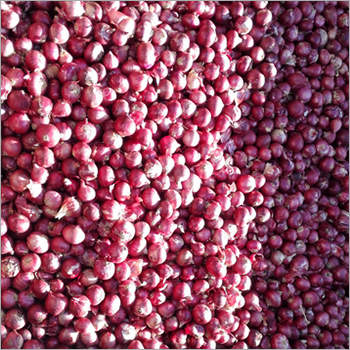 C Grade Pink Onion Shelf Life: 1 Months