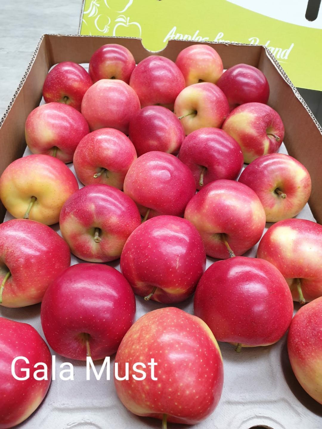 Imported Apple