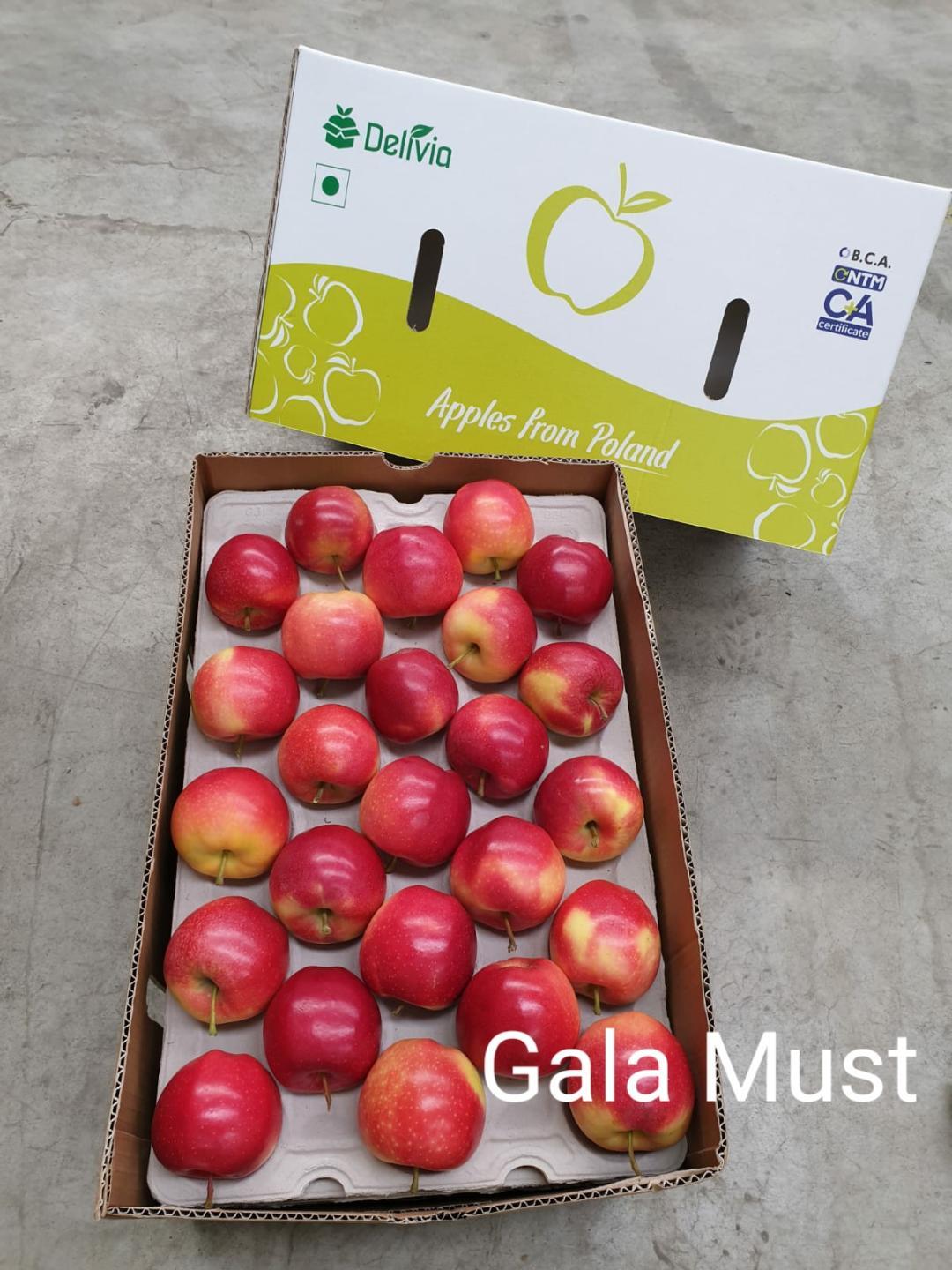 Imported Apple