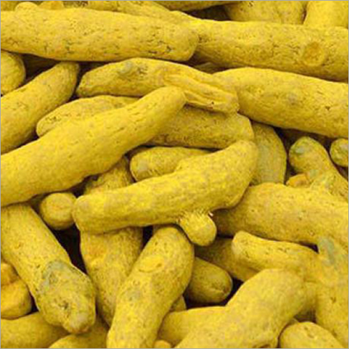 Turmeric Finger - Ground Yellow Spice Powder, 1-Year Shelf Life | Cool and Dry Storage