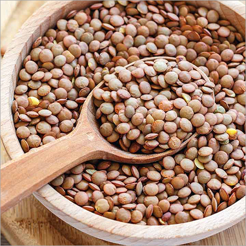 Common Masoor Dal